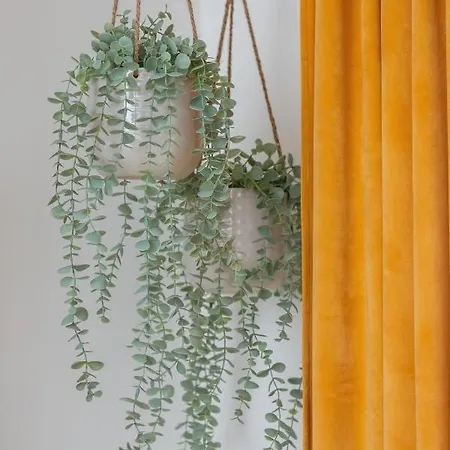 Studio With Ac Czarnowiejska By Renters Apartment Krakow